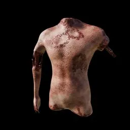 Rotten Bloody Torso With Bones