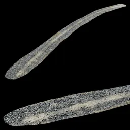 Scan Mud small rock road