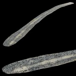 Scan Mud small rock road