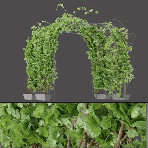 Potted Garden Arch