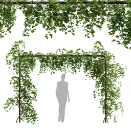 simple ivy Trellis plant