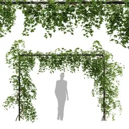 simple ivy Trellis plant