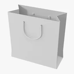 Shopping Bag