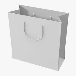 Shopping Bag