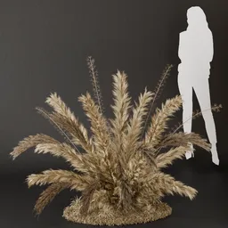 SJ- Pampas Whispering Nature Bush