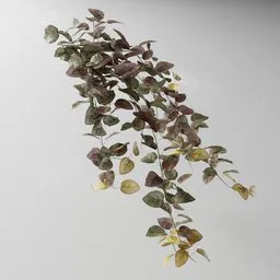 Realistic Fitonia red hanging plant 3D model, Blender-compatible, editable geometry nodes, high-detail textures.