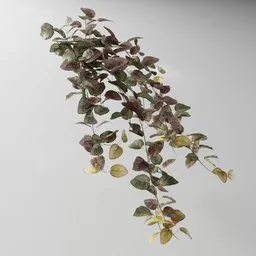 "Artificial tendril Fitonia red vase plant 3D model for Blender 3D - nature indoor category with physically-based render, high resolution and flowering vines. Created using geometry nodes with Bagapia addon."