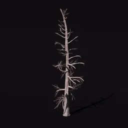 High-detail bare Siberian Larch tree 3D model suitable for Blender rendering and animation.