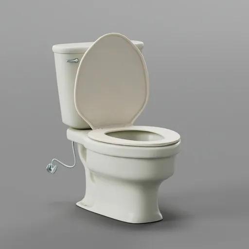 Toilet Clean