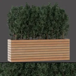 Realistic Leafy Bush