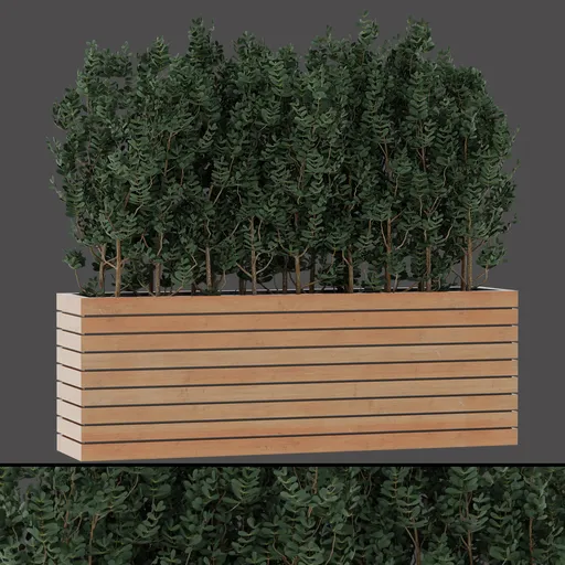 Realistic Leafy Bush