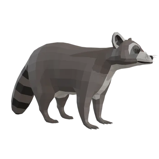 Low Poly Raccoon