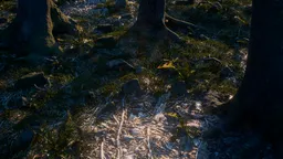 Realistic Forest Ground with Roots