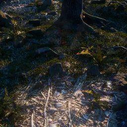 Realistic Forest Ground with Roots