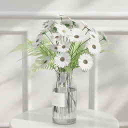 White Daisy
