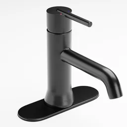 Delta Trinsic Faucet with Plate