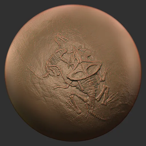 ER_Fossil Brush-dinosaur