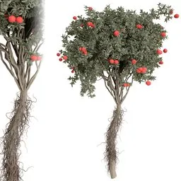 tree