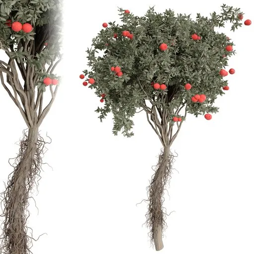 tree