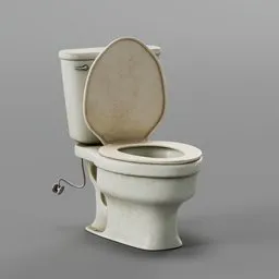 Toilet Dirty