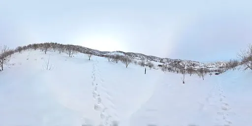 Fresh Snowfield Mountain Wilderness