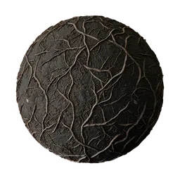 Roots Entwined Ground