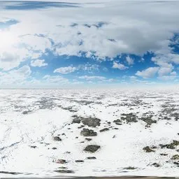 Frozen Tundra Daylight