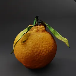 Orange with Leaves