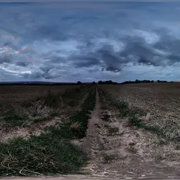 Germany Country Field