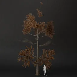 SJ-Fallen Leaf Pine Tree