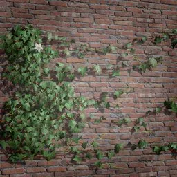 Realistic ivy 3D model with high-quality textures, ideal for blending into virtual environments and game scenes.