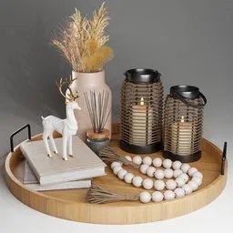 Organic Modern Tray Set