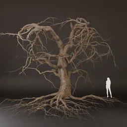 SJ-Dying Tree With Branch Details