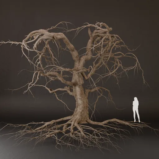 SJ-Dying Tree With Branch Details