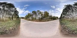 360-degree panoramic HDR scene of a serene daytime road with surrounding greenery under a blue sky with fluffy clouds.