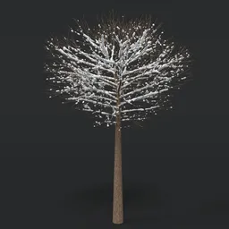 Tree With Snow