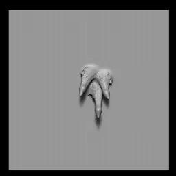 NS Sea Creature small tentacles