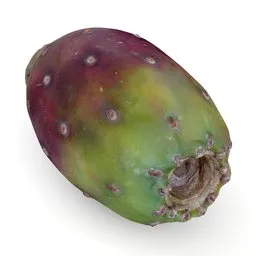 Highly detailed Blender 3D model of a prickly pear cactus fruit, perfect for photorealistic vegetarian cuisine renders and decor.
