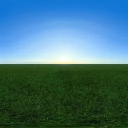 Green grass cloudy blue sky pure sky