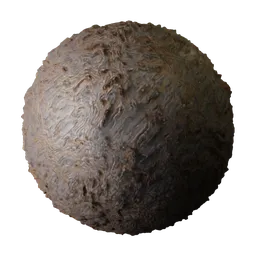 Eroded Rock
