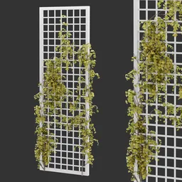 Grid Ivy Autumn Plant AQ