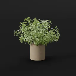 Minimalist Potted Green Leaf Plant