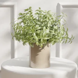 Minimalist Potted Green Leaf Plant