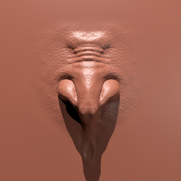 Detailed 3D sculpting brush imprint of a humanoid nose shape for Blender sculpting, ideal for orc and human character models.