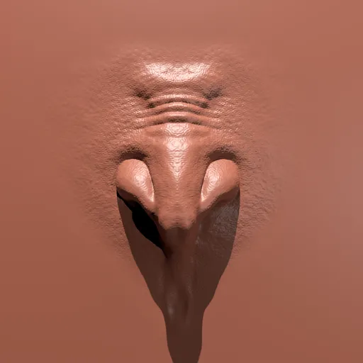 Detailed 3D sculpting brush imprint of a humanoid nose shape for Blender sculpting, ideal for orc and human character models.