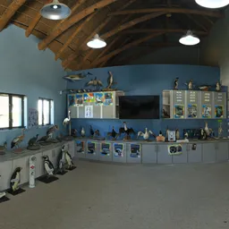 Penguin Museum