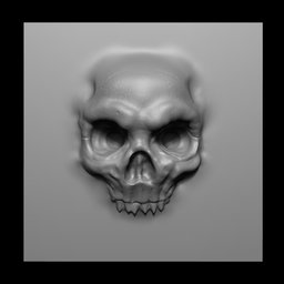 NS Skull face