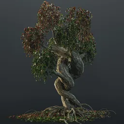 Autumn bonsay tree