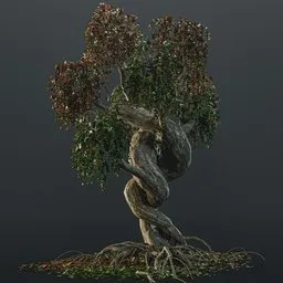 Autumn bonsay tree