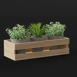 Triple Potted Green Set